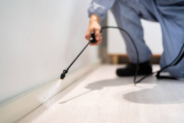 Licensed Termite Control service in Buchanan, MI - Nex Pest Control
