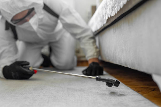 Professional Termite Control technician working in Buchanan, MI