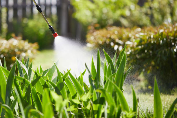 24/7 Emergency Termite Control experts in Buchanan, MI