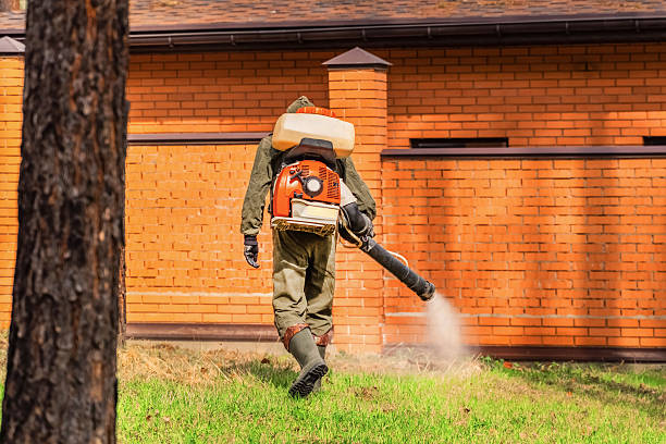 Top rated local Termite Control specialists in Buchanan, MI